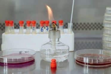 chemical flame testing